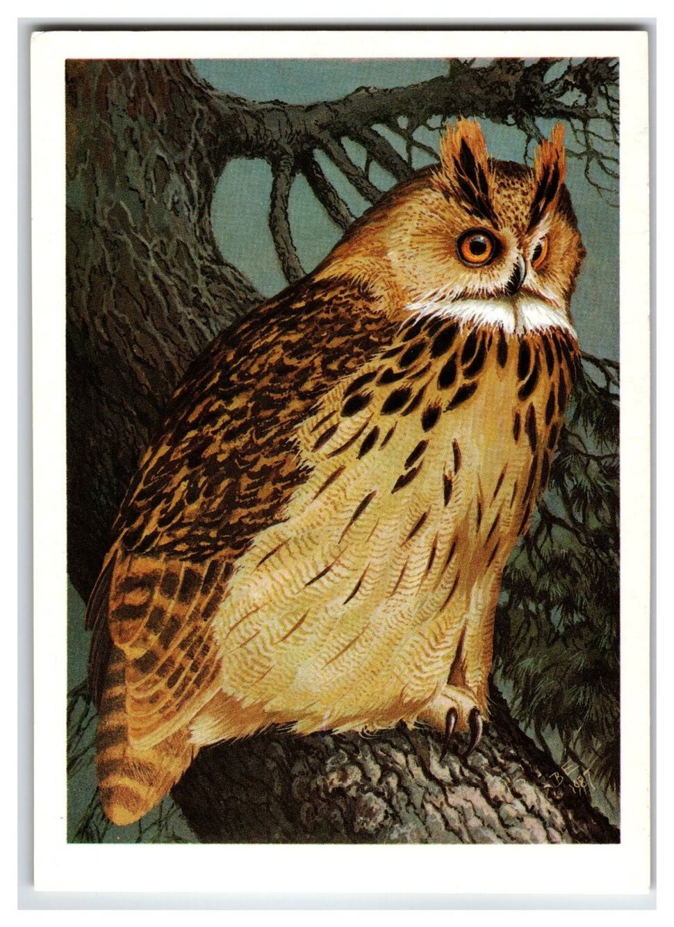 Vintage Russian Eagle Owl Postcard V. G. Egorov Wildlife Art 1988 Unposted